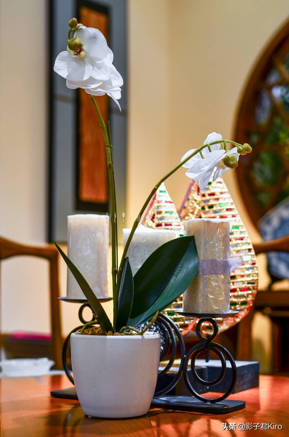 廈門裝飾網_廈門裝修家庭網站有哪些_廈門家庭裝修網