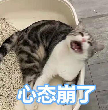 廈門(mén)設(shè)計(jì)裝修價(jià)格_廈門(mén)裝修設(shè)計(jì)_廈門(mén)裝修價(jià)格設(shè)計(jì)公司