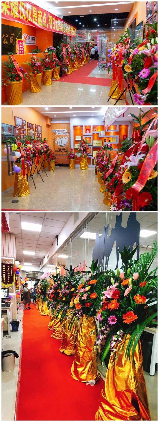 廈門誠(chéng)信家裝修網(wǎng)_廈門誠(chéng)信裝飾_廈門裝修誠(chéng)信家網(wǎng)官網(wǎng)