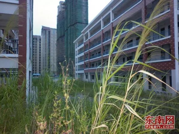 廈門精裝修二手房出售_廈門精裝修房最新房價_廈門精裝房裝修