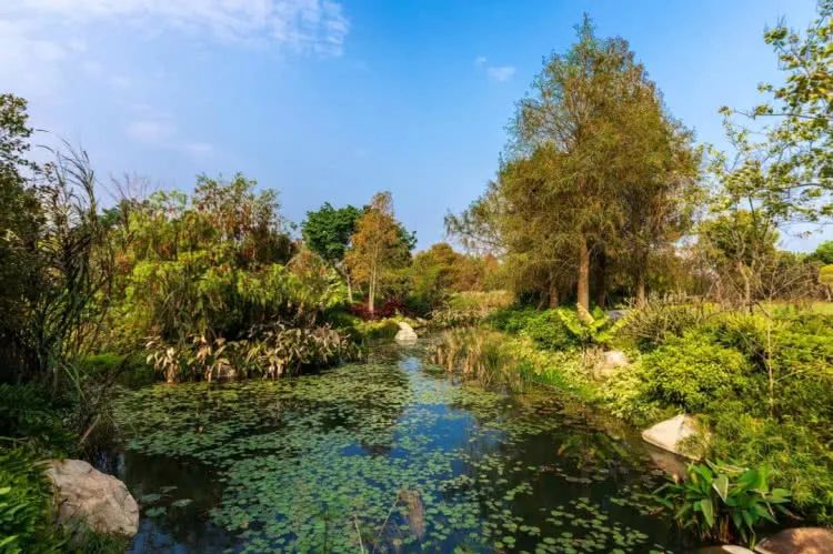 廈門周末裝修_廈門周末裝修投訴電話_廈門周末裝修時間國家規(guī)定