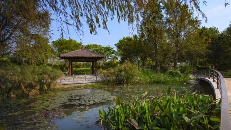 廈門周末裝修時間國家規(guī)定_廈門周末裝修_廈門周末裝修投訴電話