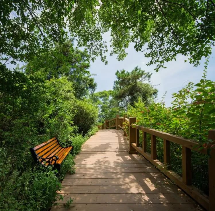 廈門周末裝修投訴電話_廈門周末裝修_廈門周末裝修時間國家規(guī)定