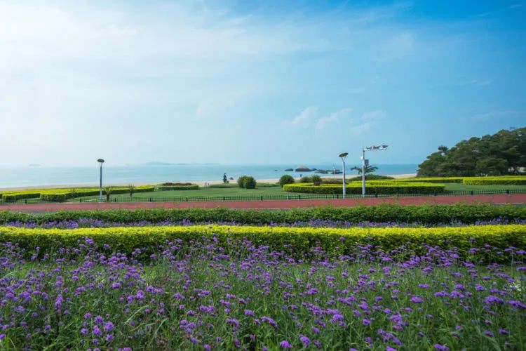 廈門周末裝修時間國家規(guī)定_廈門周末裝修投訴電話_廈門周末裝修