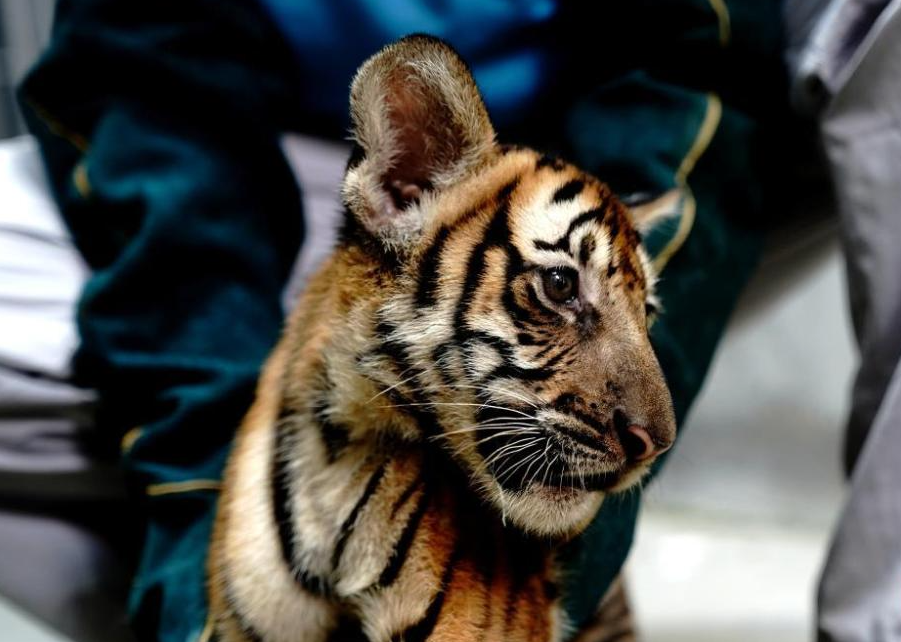 廈門(mén)點(diǎn)維裝飾_廈門(mén)裝飾裝修_廈門(mén)裝修裝飾公司