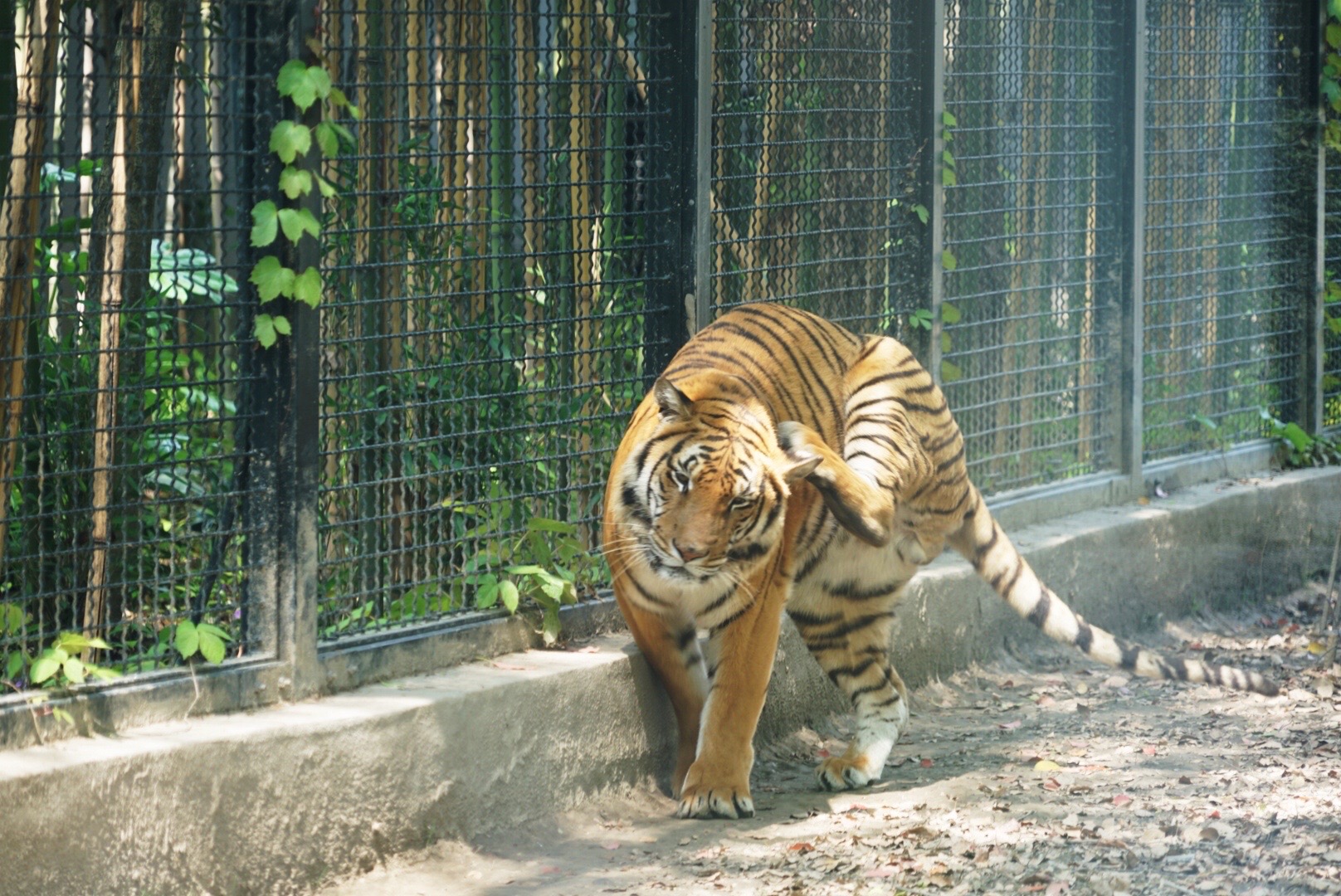 廈門(mén)裝飾裝修_廈門(mén)點(diǎn)維裝飾_廈門(mén)裝修裝飾公司