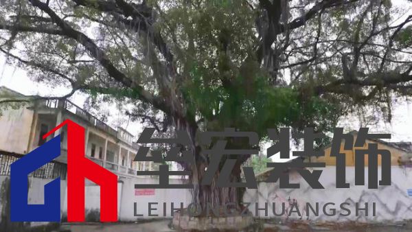 期頤華僑反哺故鄉(xiāng)桑梓情深，“夢改”助力潮州大吳村再綻魅力